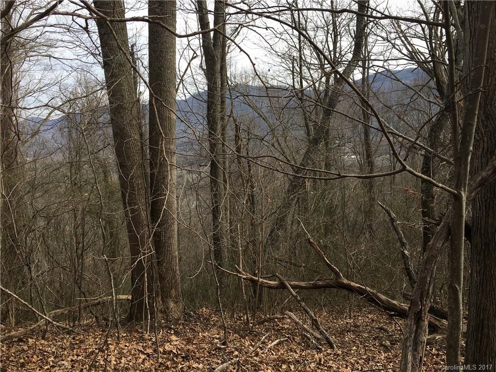 29 Nellie Bell Lane Swannanoa NC 28778
