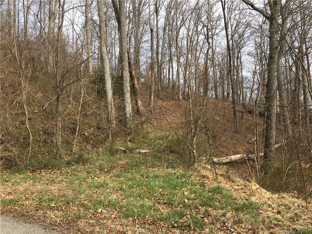 29 Nellie Bell Lane Swannanoa NC 28778