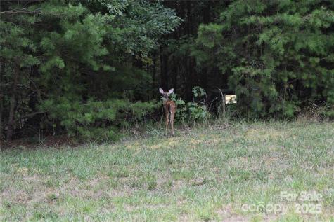 113 Water View Court Badin Lake NC 28127