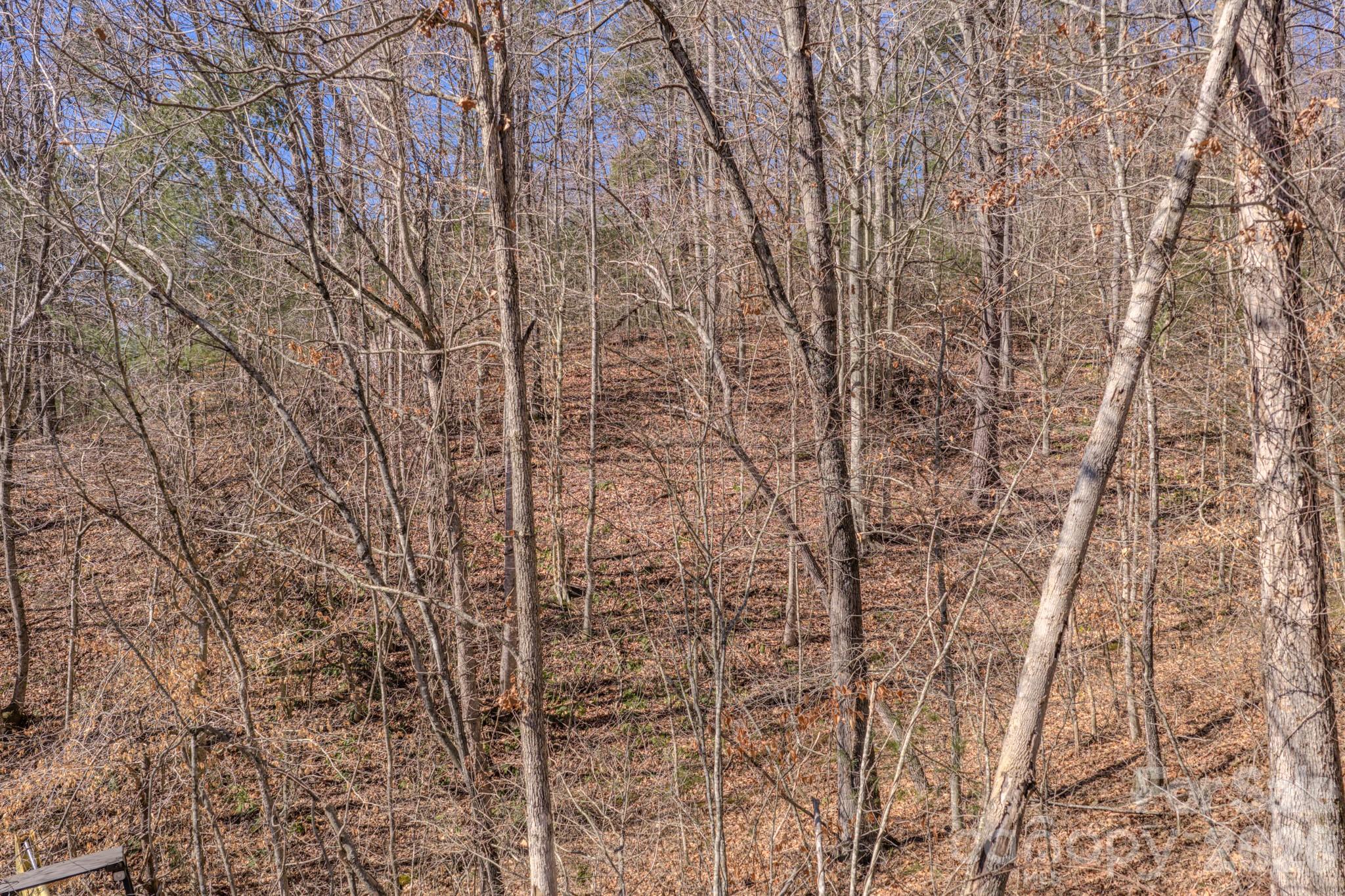 99999 Ralph Lunsford Road Weaverville NC 28787