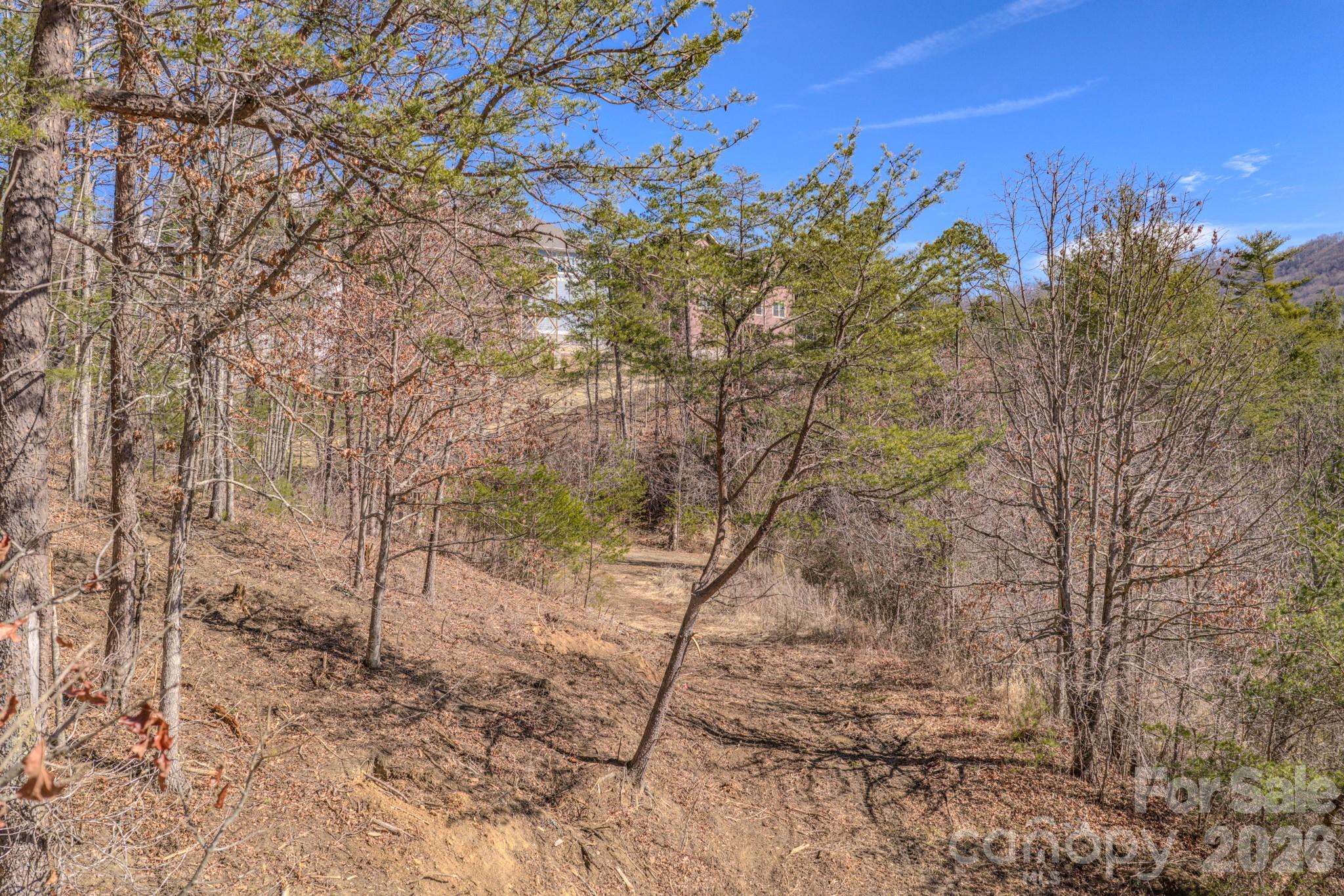 99999 Ralph Lunsford Road Weaverville NC 28787
