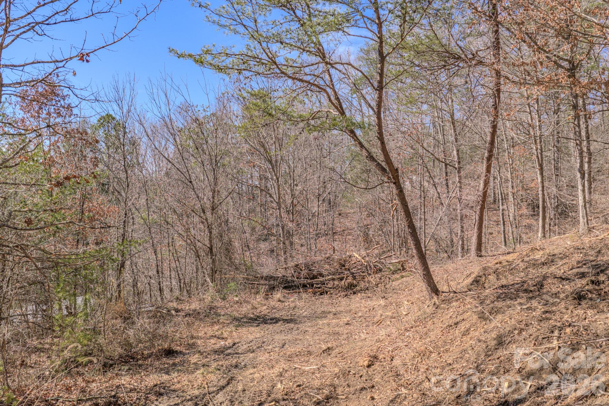 99999 Ralph Lunsford Road Weaverville NC 28787