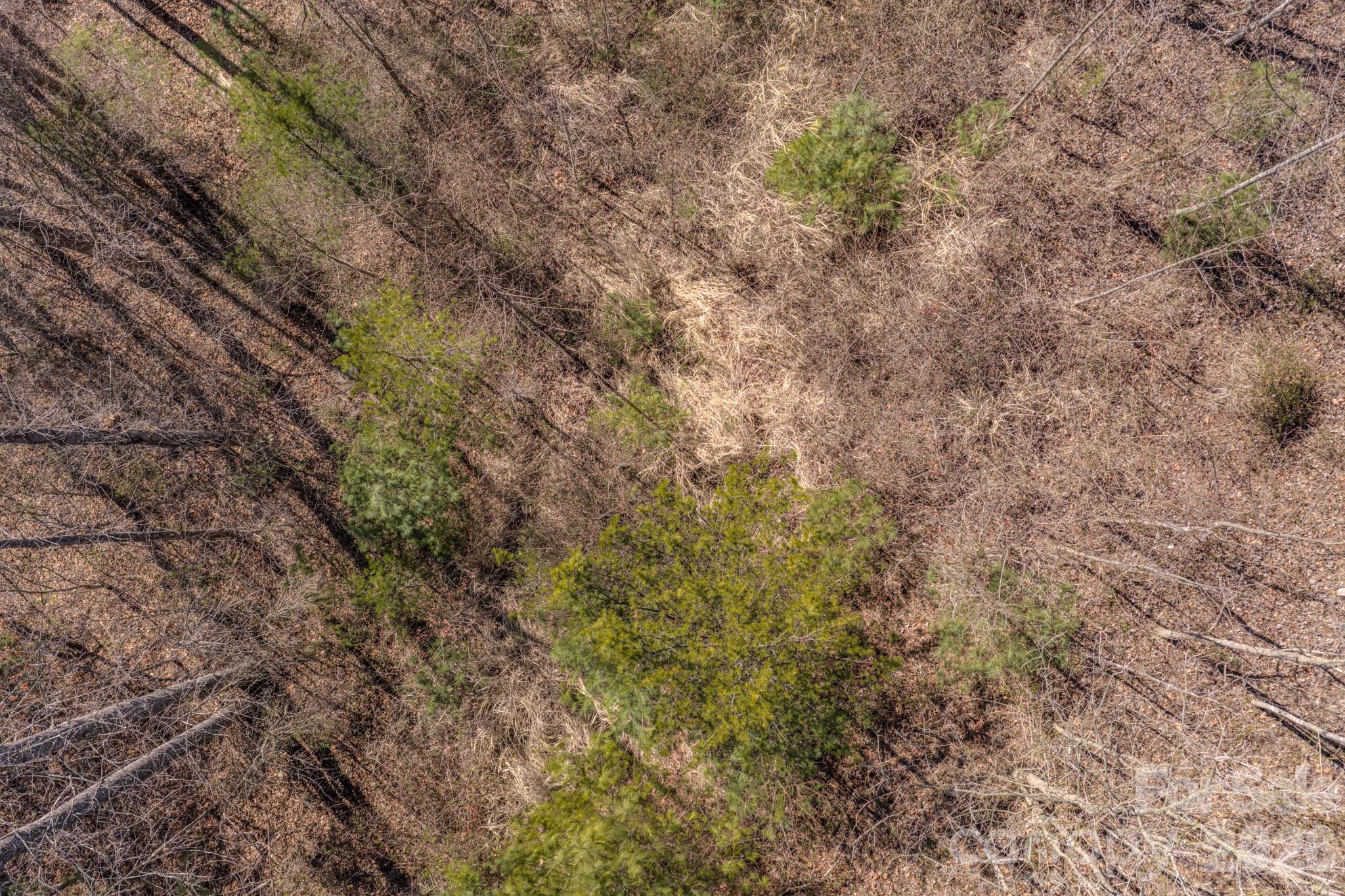 99999 Ralph Lunsford Road Weaverville NC 28787