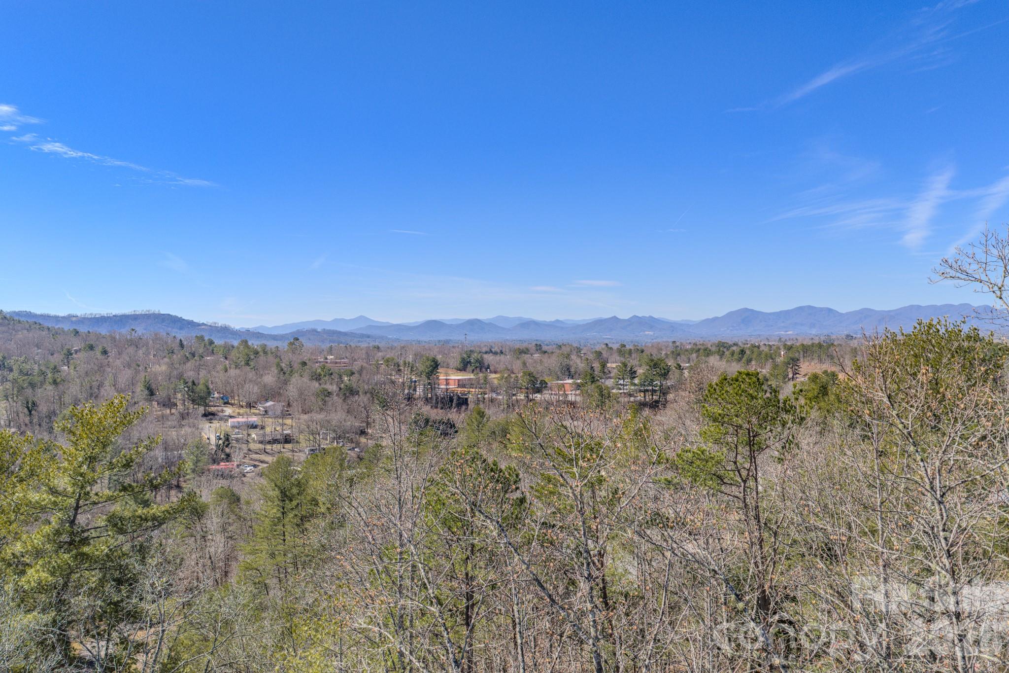 99999 Ralph Lunsford Road Weaverville NC 28787