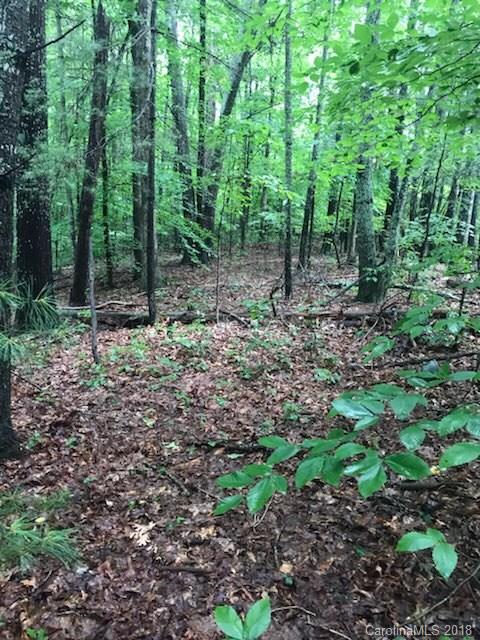 8 Hickory Lane Asheville NC 28804