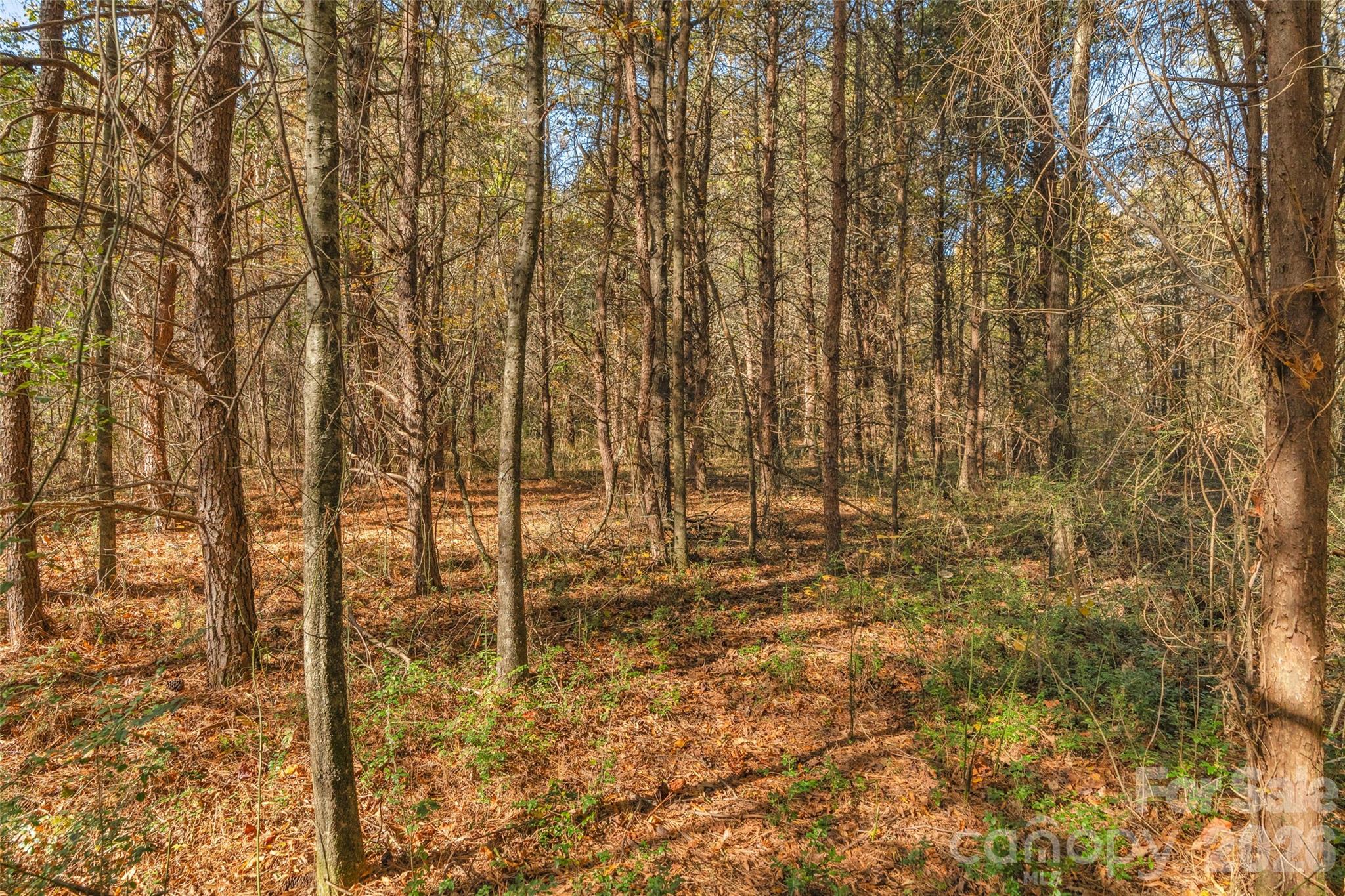 0000 Bud Davis Road Vale NC 28168