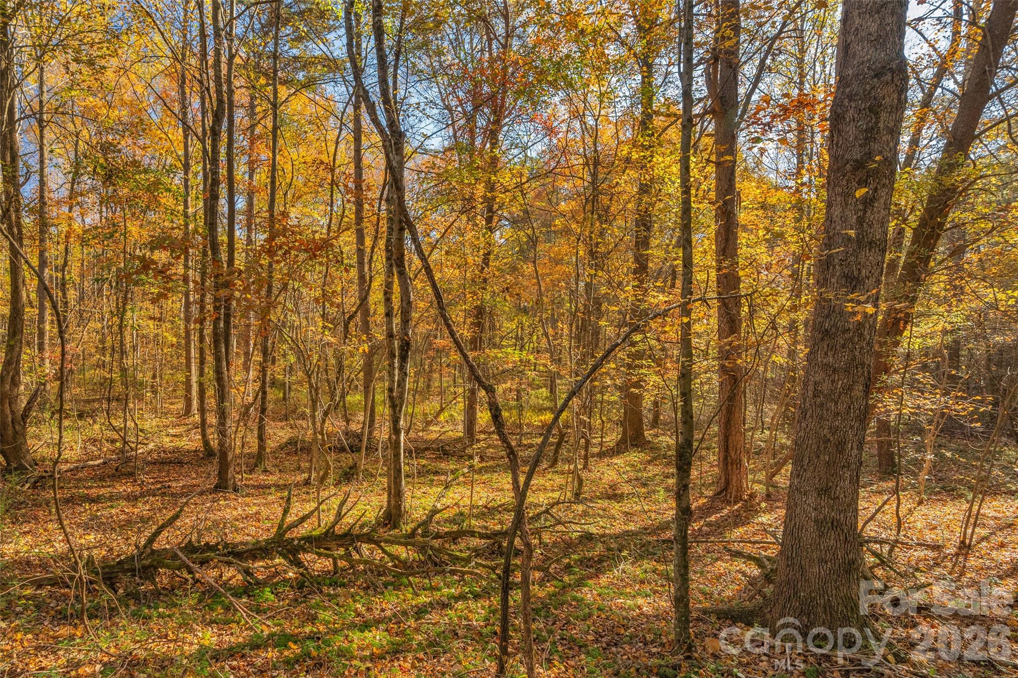 0000 Bud Davis Road Vale NC 28168