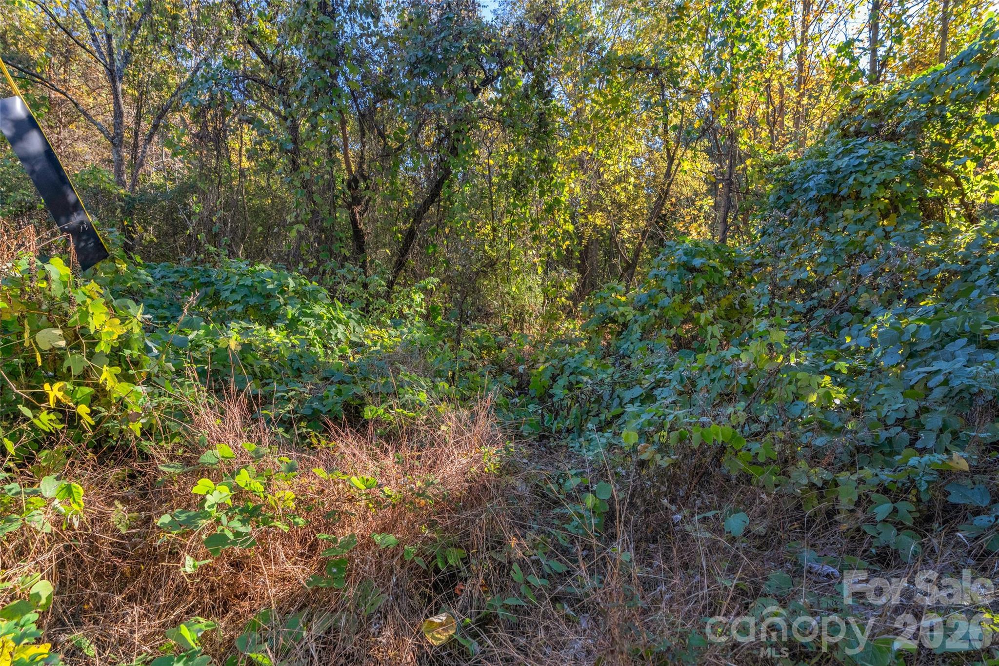 0000 Bud Davis Road Vale NC 28168