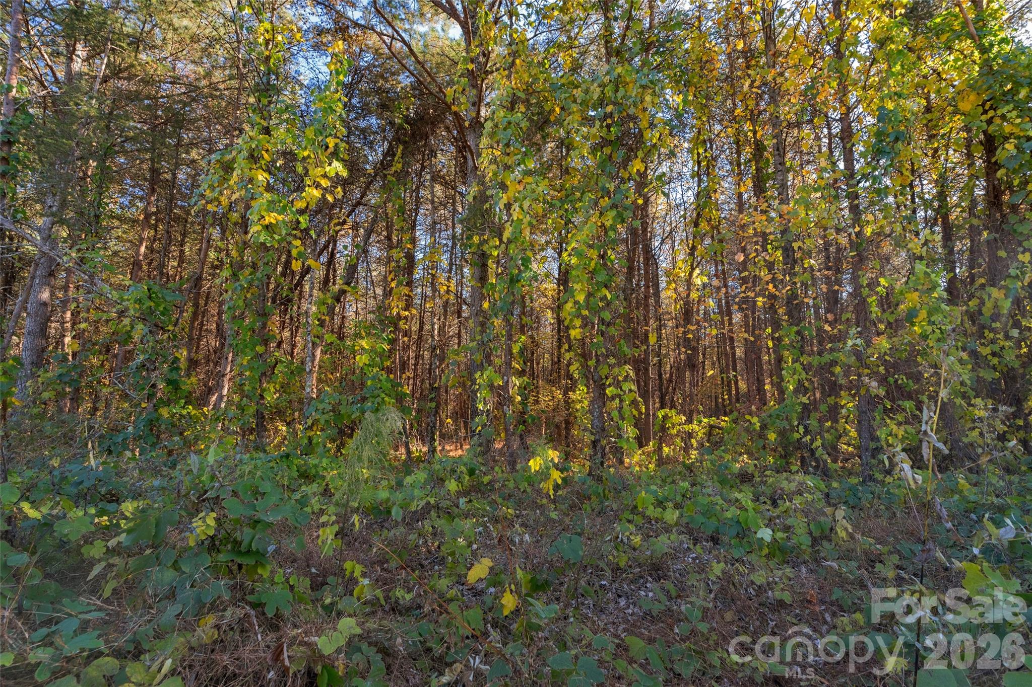 0000 Bud Davis Road Vale NC 28168
