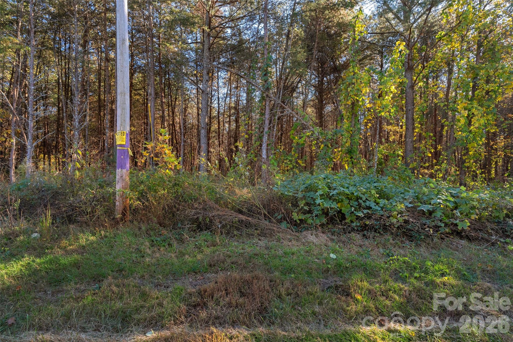 0000 Bud Davis Road Vale NC 28168