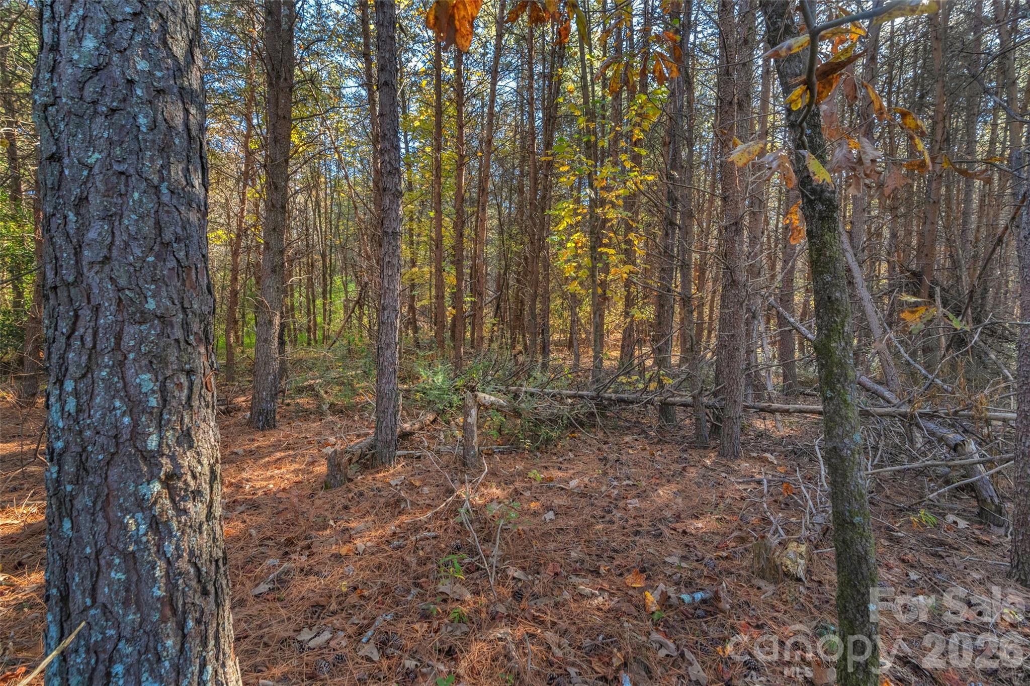 0000 Bud Davis Road Vale NC 28168