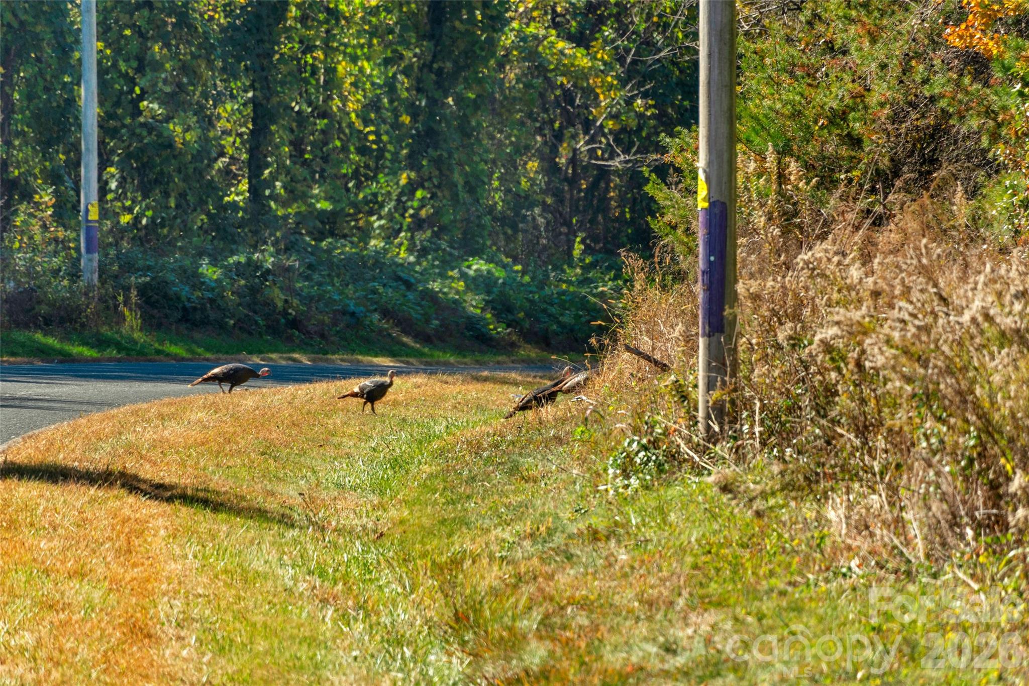 0000 Bud Davis Road Vale NC 28168