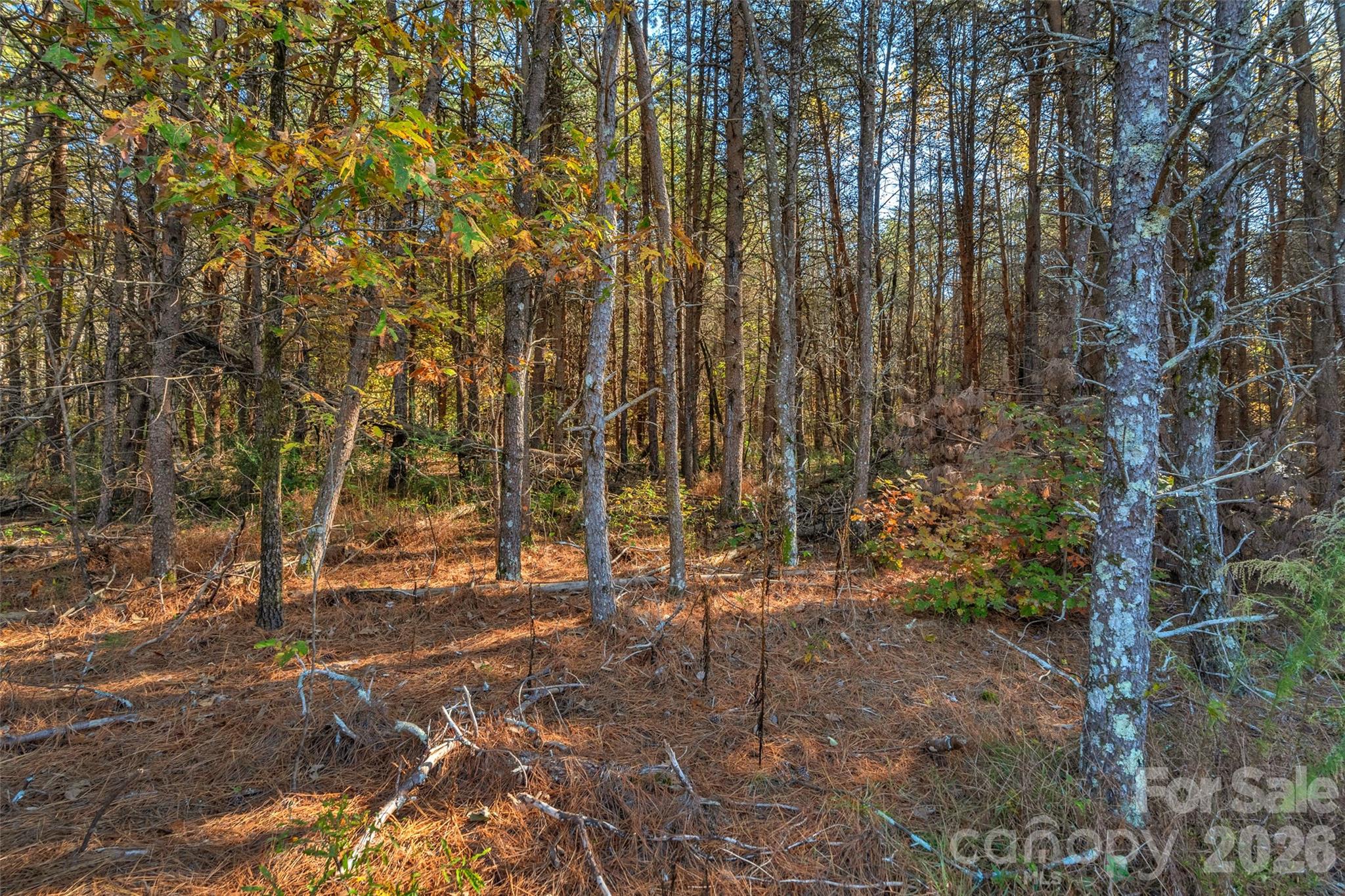 0000 Bud Davis Road Vale NC 28168