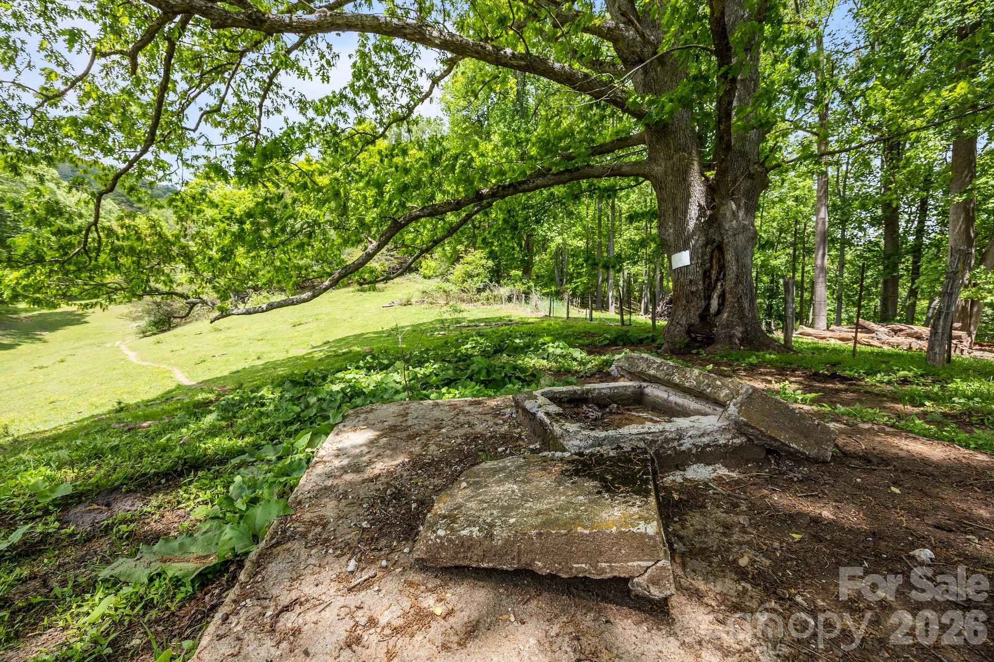 411 Big Sandy Mush Road Leicester NC 28748