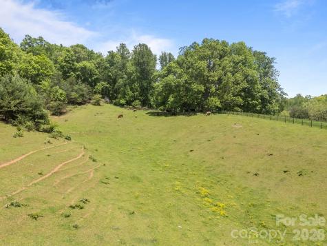 411 Big Sandy Mush Road Leicester NC 28748