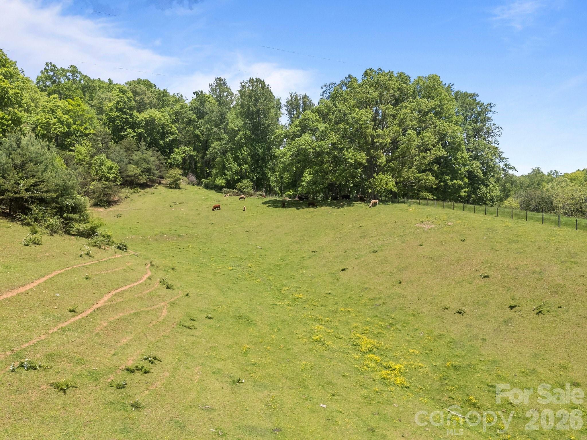 411 Big Sandy Mush Road Leicester NC 28748