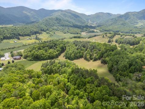 411 Big Sandy Mush Road Leicester NC 28748