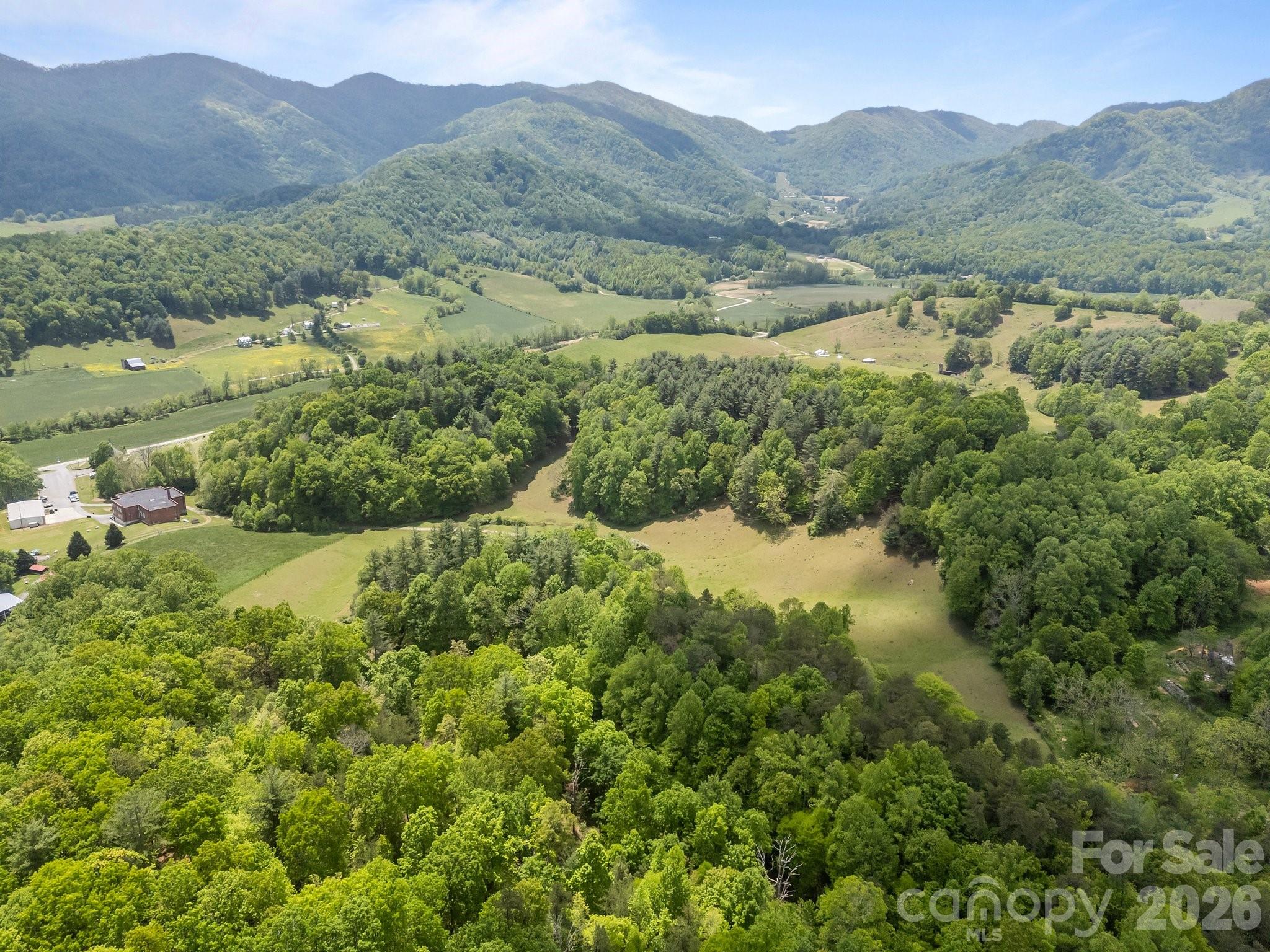411 Big Sandy Mush Road Leicester NC 28748