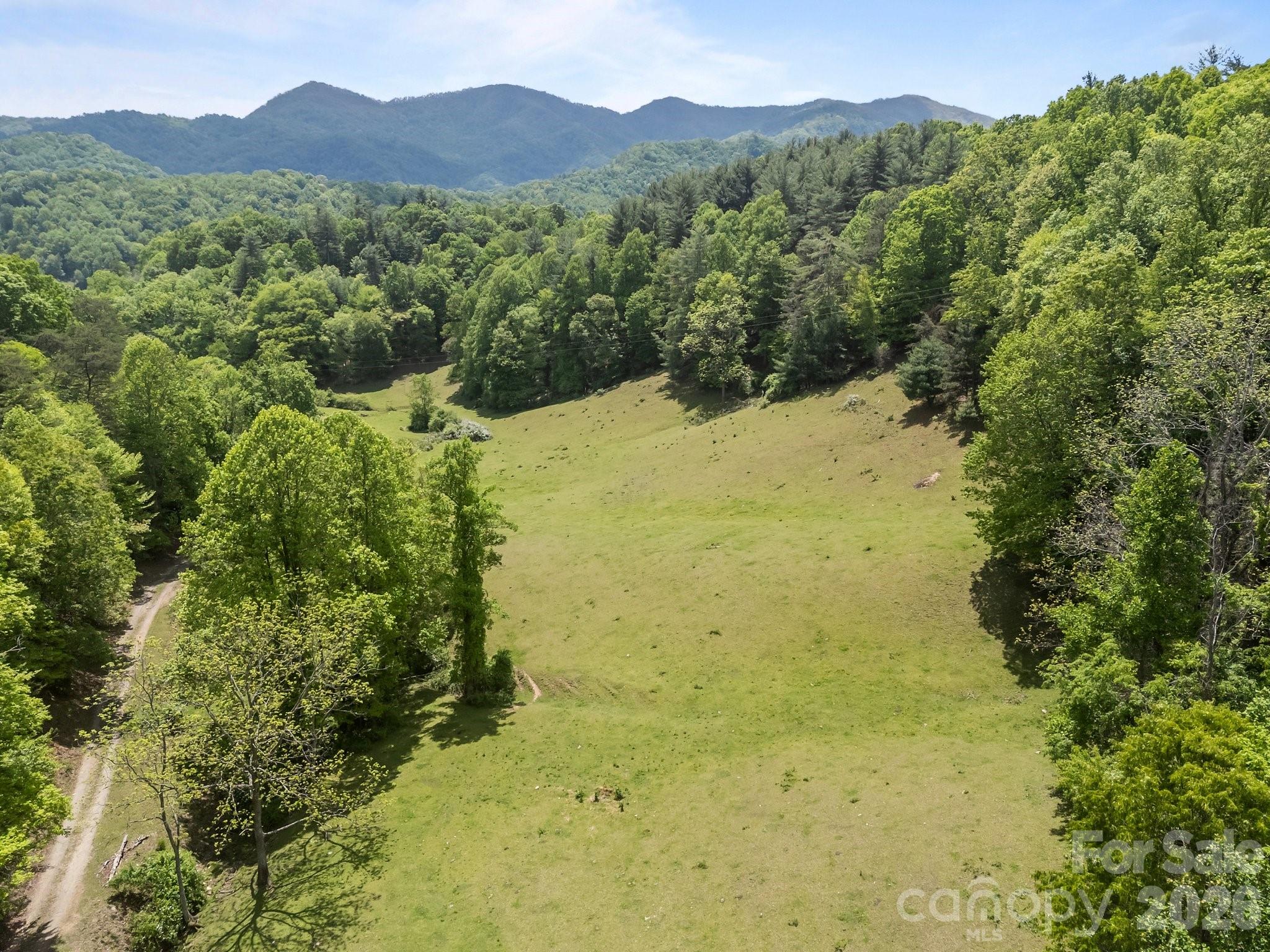 411 Big Sandy Mush Road Leicester NC 28748
