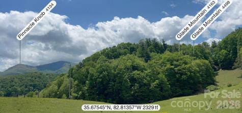411 Big Sandy Mush Road Leicester NC 28748