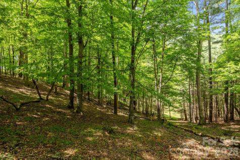 411 Big Sandy Mush Road Leicester NC 28748