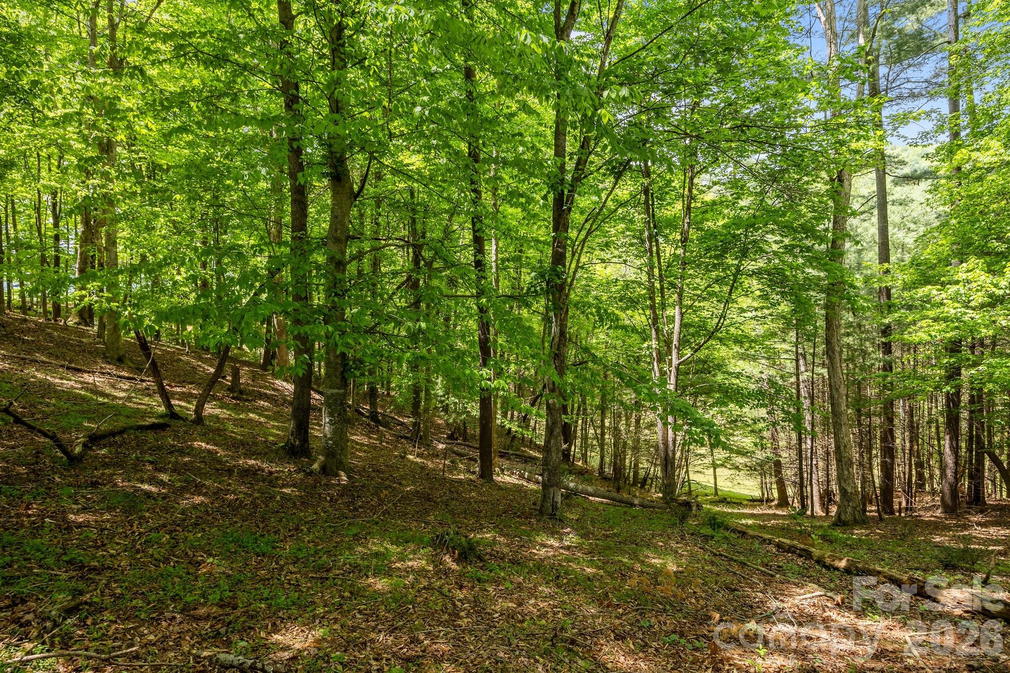 411 Big Sandy Mush Road Leicester NC 28748
