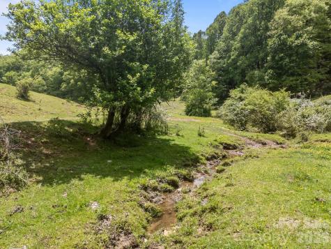 411 Big Sandy Mush Road Leicester NC 28748