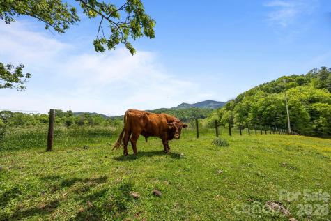 411 Big Sandy Mush Road Leicester NC 28748