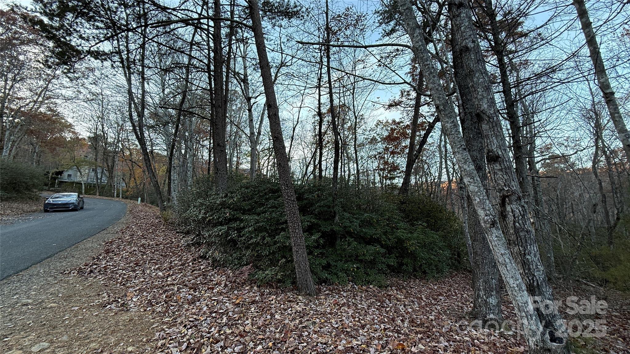0 Quail Ridge Road Lake Lure NC 28746