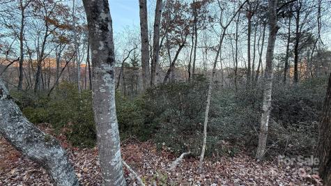 0 Quail Ridge Road Lake Lure NC 28746