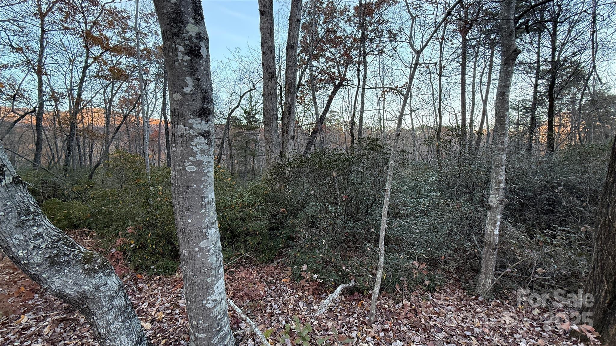 0 Quail Ridge Road Lake Lure NC 28746