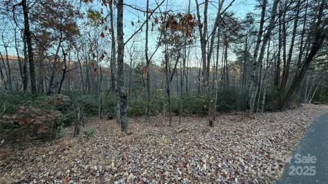 0 Quail Ridge Road Lake Lure NC 28746