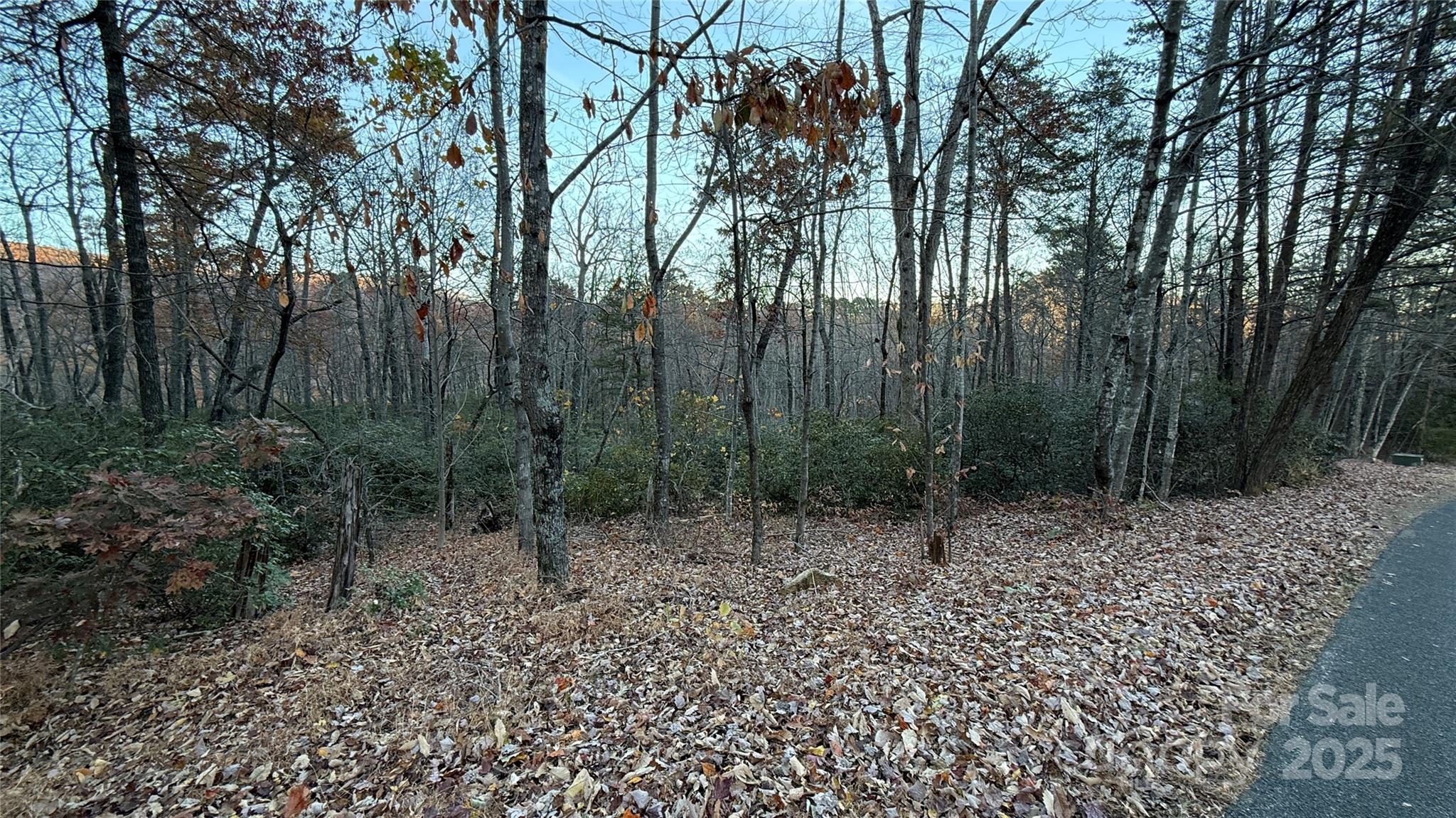 0 Quail Ridge Road Lake Lure NC 28746