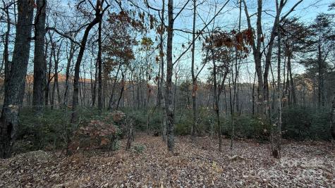 0 Quail Ridge Road Lake Lure NC 28746