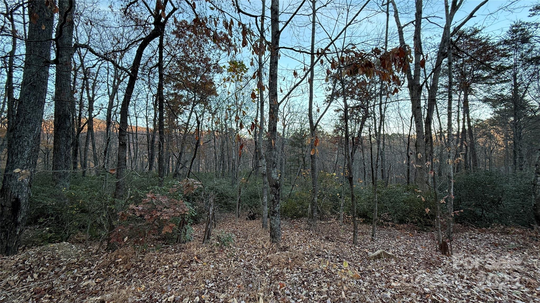 0 Quail Ridge Road Lake Lure NC 28746