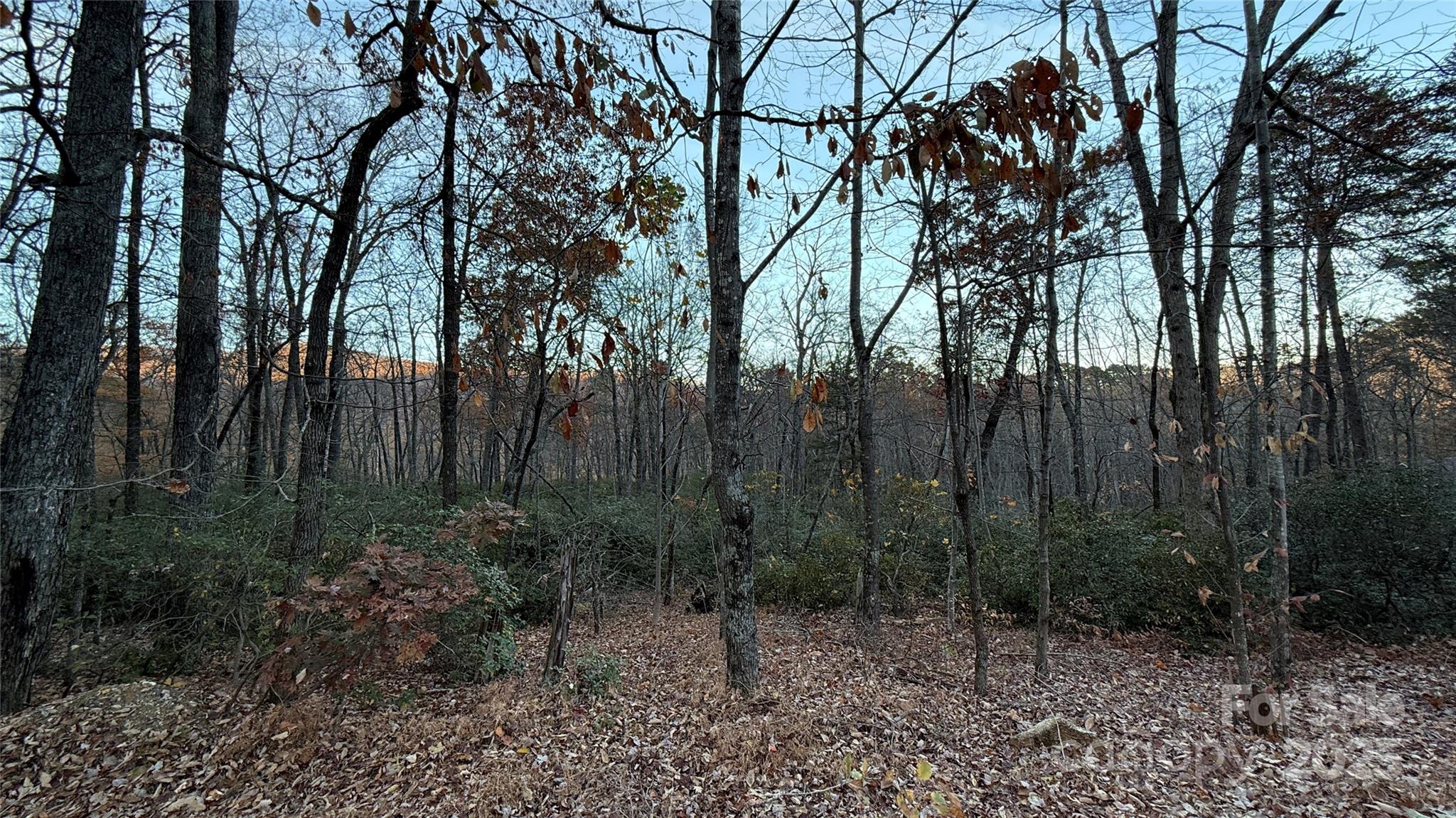 0 Quail Ridge Road Lake Lure NC 28746