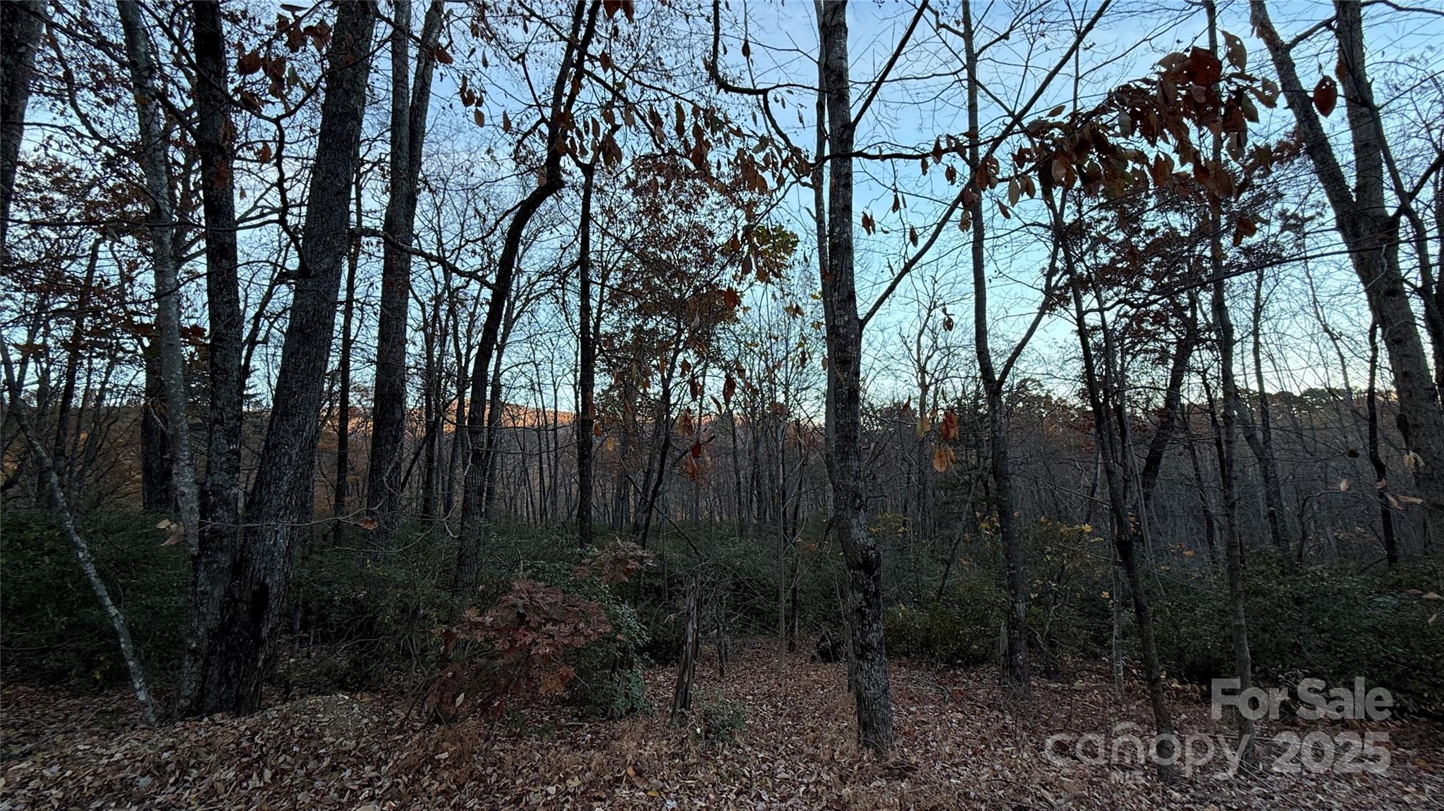 0 Quail Ridge Road Lake Lure NC 28746