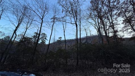 0 Quail Ridge Road Lake Lure NC 28746