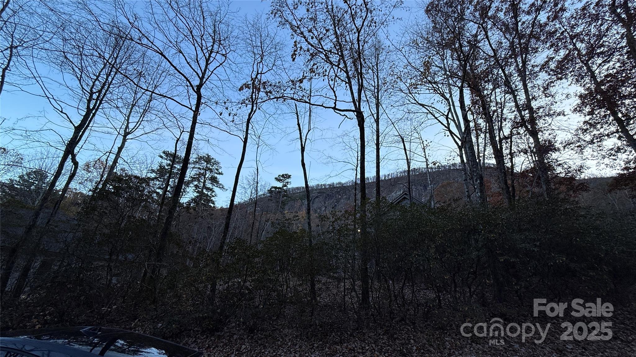 0 Quail Ridge Road Lake Lure NC 28746