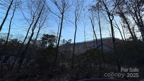 0 Quail Ridge Road Lake Lure NC 28746
