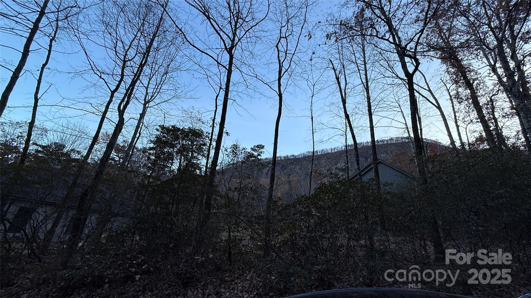 0 Quail Ridge Road Lake Lure NC 28746