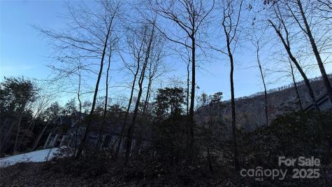 0 Quail Ridge Road Lake Lure NC 28746