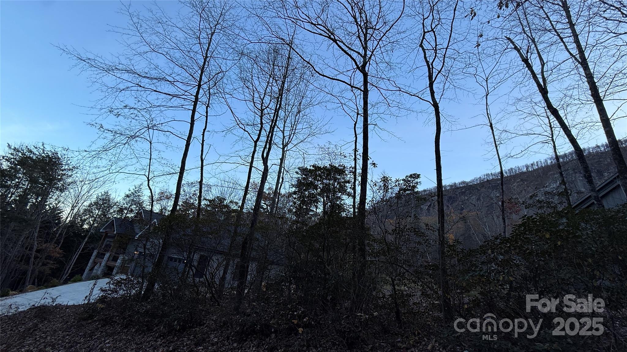 0 Quail Ridge Road Lake Lure NC 28746