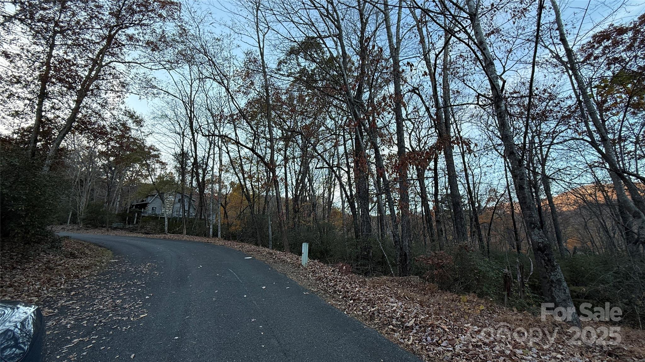 0 Quail Ridge Road Lake Lure NC 28746