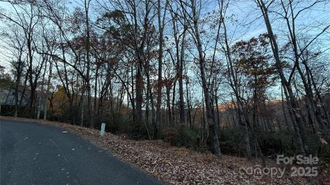 0 Quail Ridge Road Lake Lure NC 28746