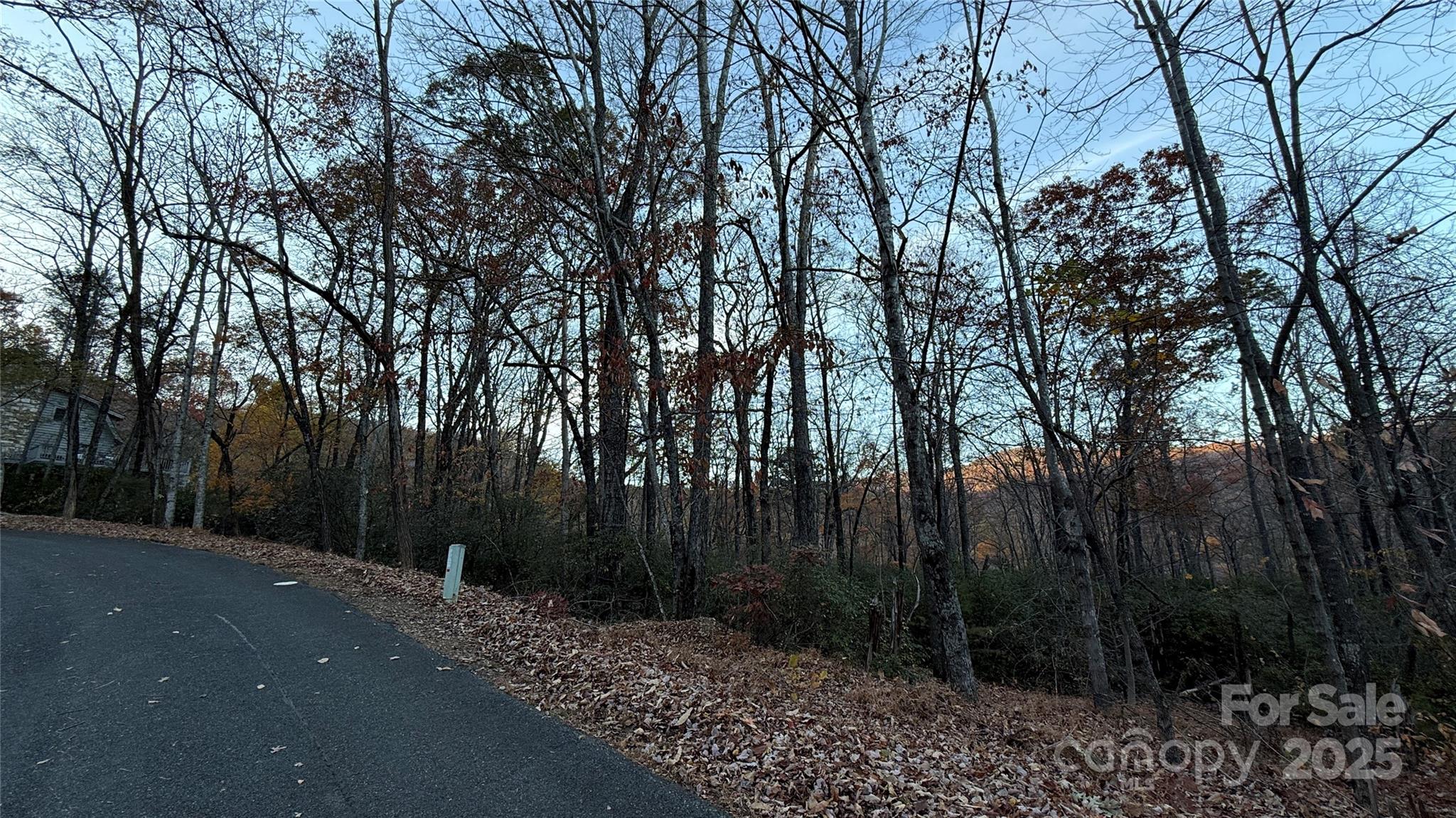 0 Quail Ridge Road Lake Lure NC 28746