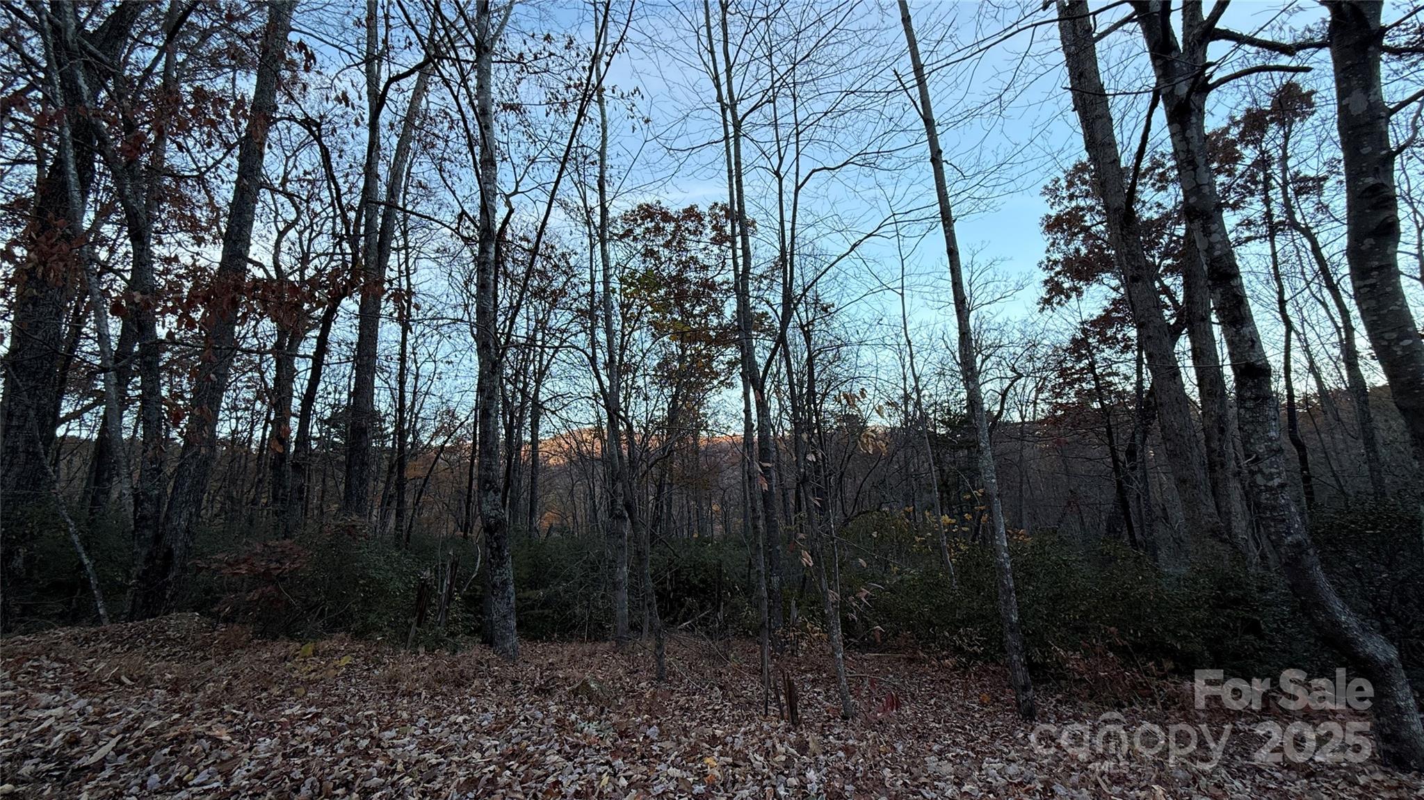 0 Quail Ridge Road Lake Lure NC 28746