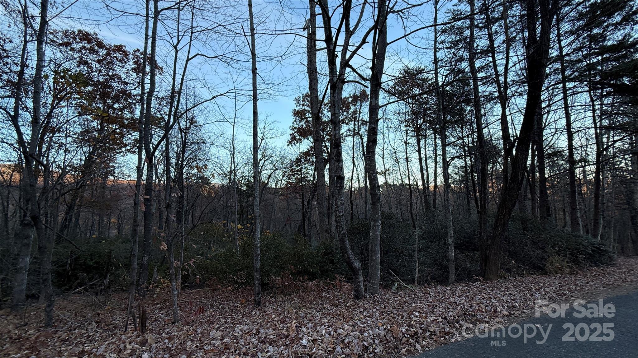0 Quail Ridge Road Lake Lure NC 28746