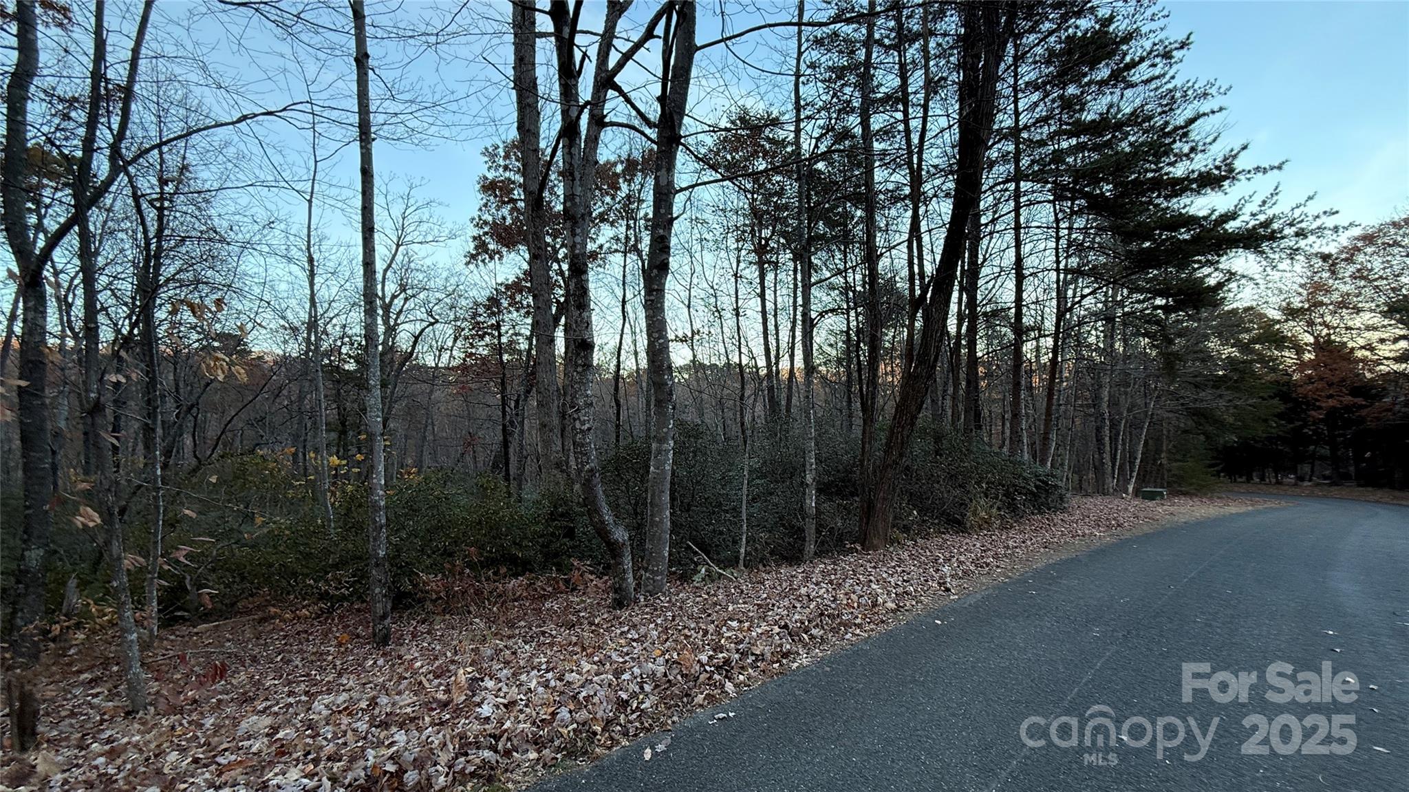 0 Quail Ridge Road Lake Lure NC 28746