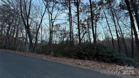 0 Quail Ridge Road Lake Lure NC 28746